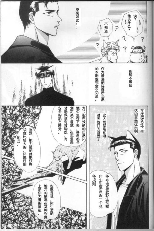 《我的小猫》漫画最新章节第7话免费下拉式在线观看章节第【12】张图片