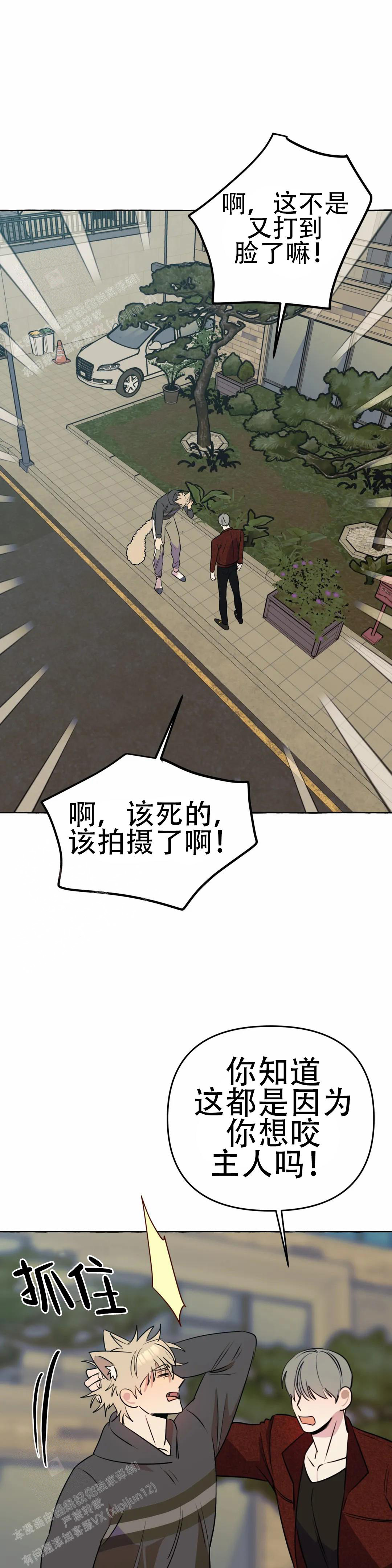 《三三的家》漫画最新章节第49话免费下拉式在线观看章节第【10】张图片