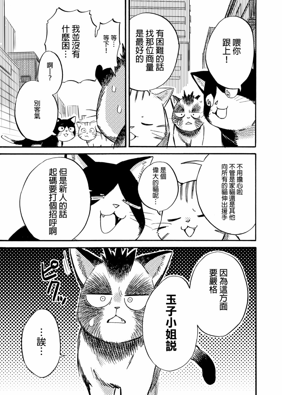 《貍猫咬咬》漫画最新章节第4话免费下拉式在线观看章节第【15】张图片