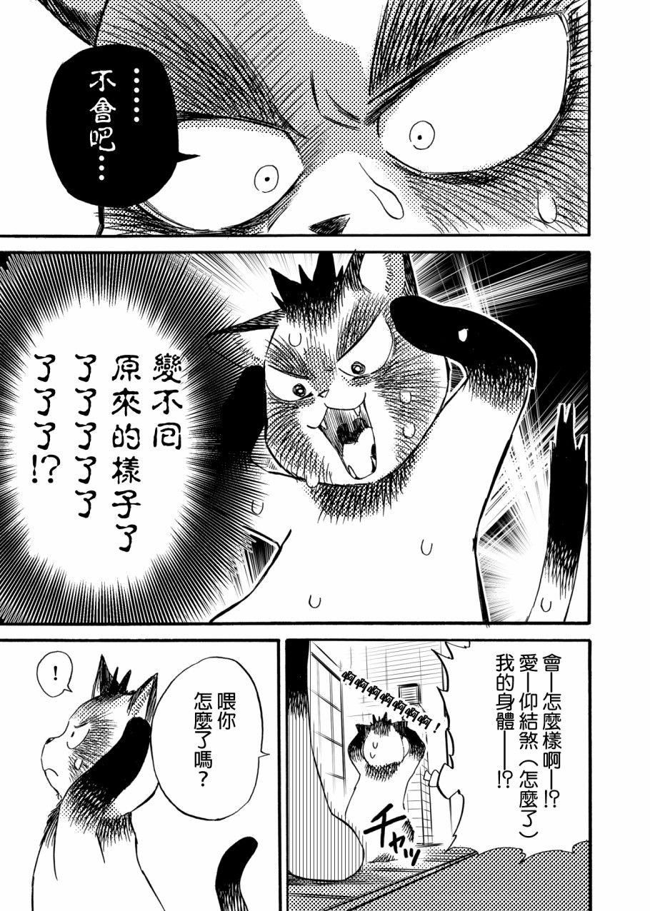 《貍猫咬咬》漫画最新章节第4话免费下拉式在线观看章节第【13】张图片