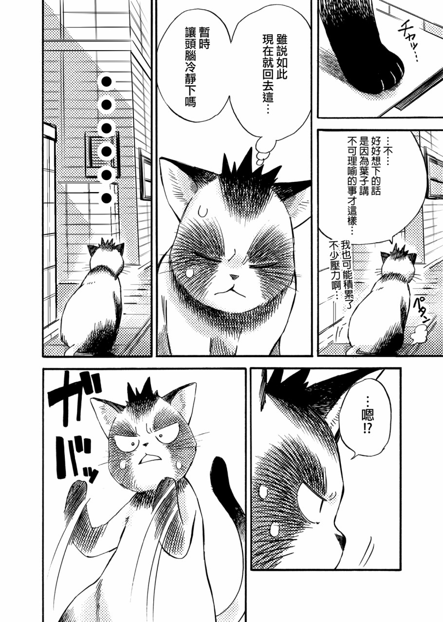 《貍猫咬咬》漫画最新章节第4话免费下拉式在线观看章节第【12】张图片