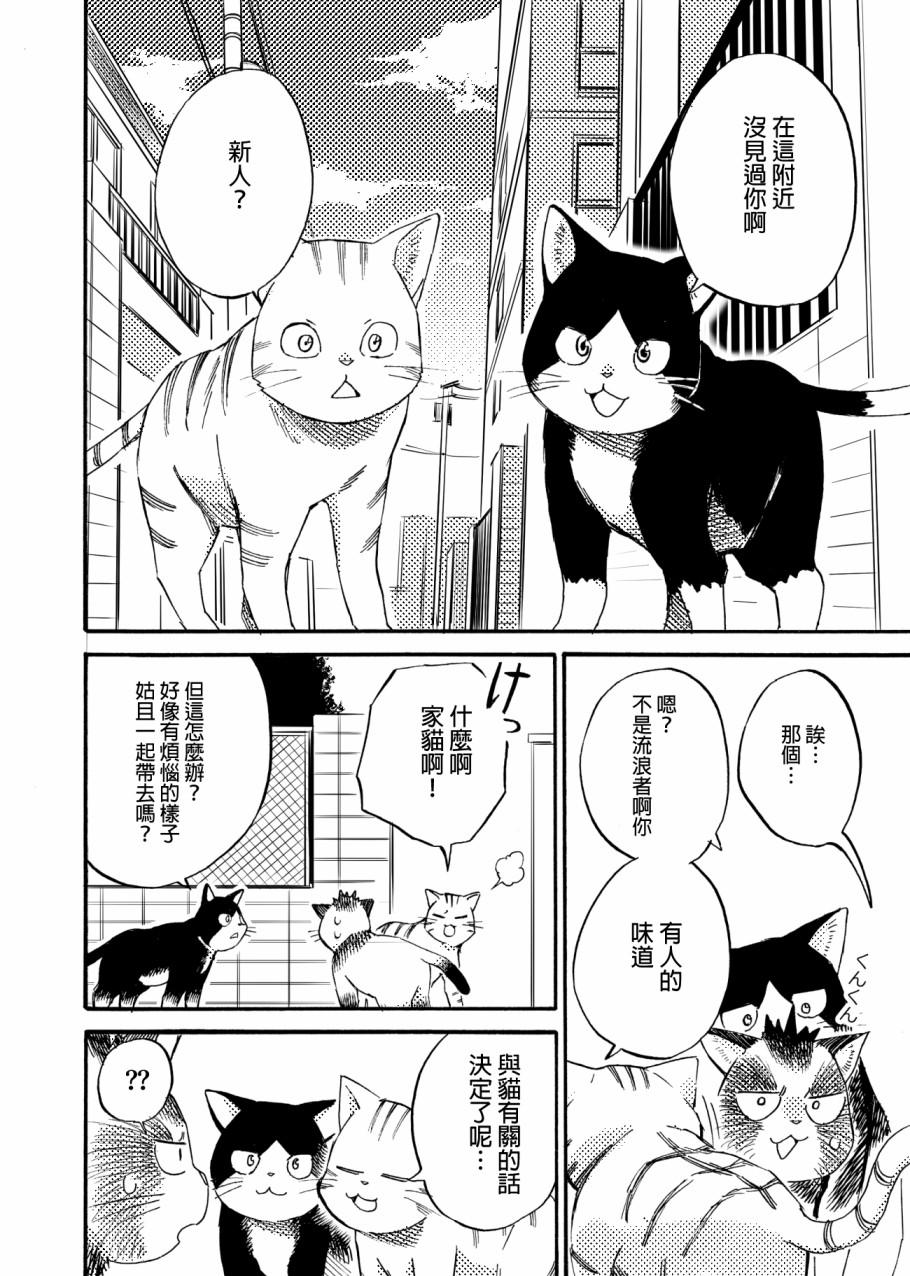 《貍猫咬咬》漫画最新章节第4话免费下拉式在线观看章节第【14】张图片