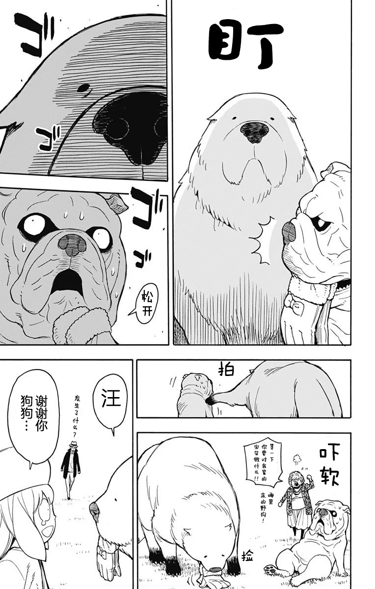 《间谍过家家》漫画最新章节其他版23免费下拉式在线观看章节第【17】张图片