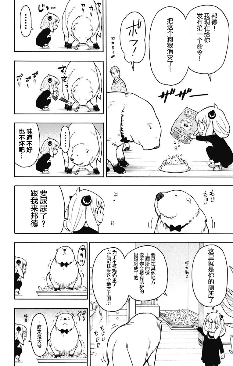 《间谍过家家》漫画最新章节其他版23免费下拉式在线观看章节第【20】张图片