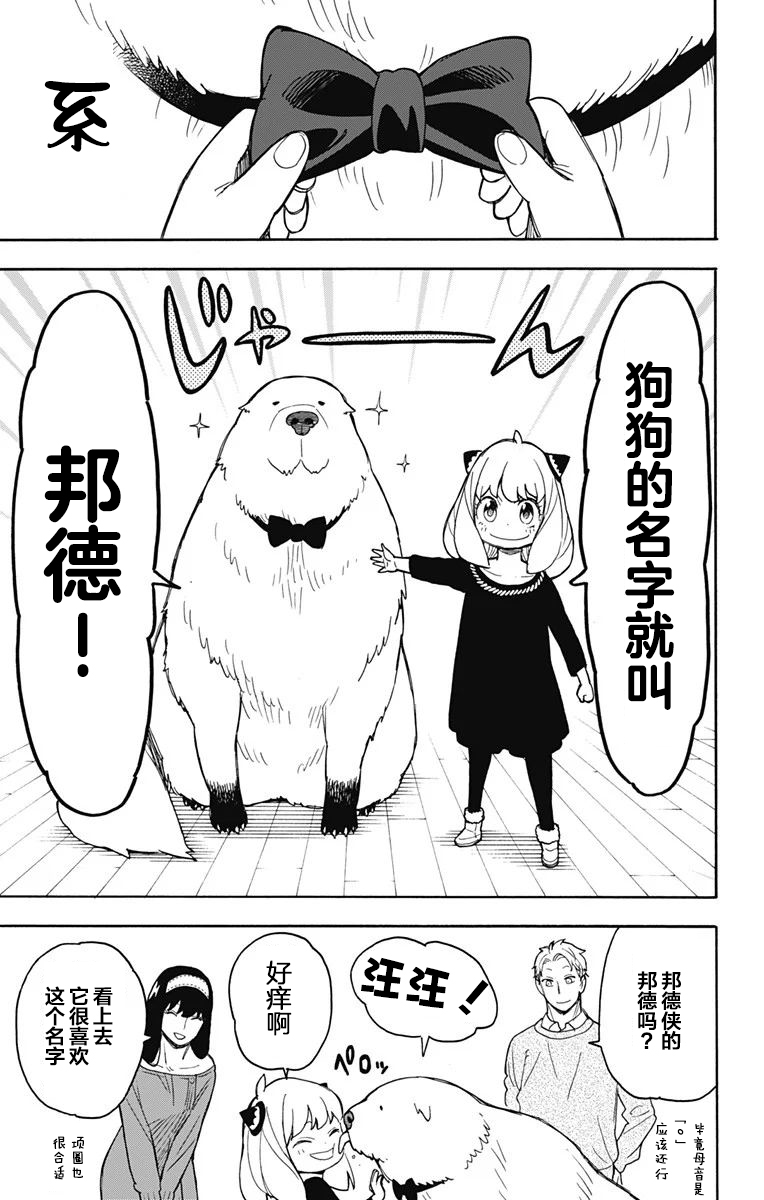 《间谍过家家》漫画最新章节其他版23免费下拉式在线观看章节第【19】张图片