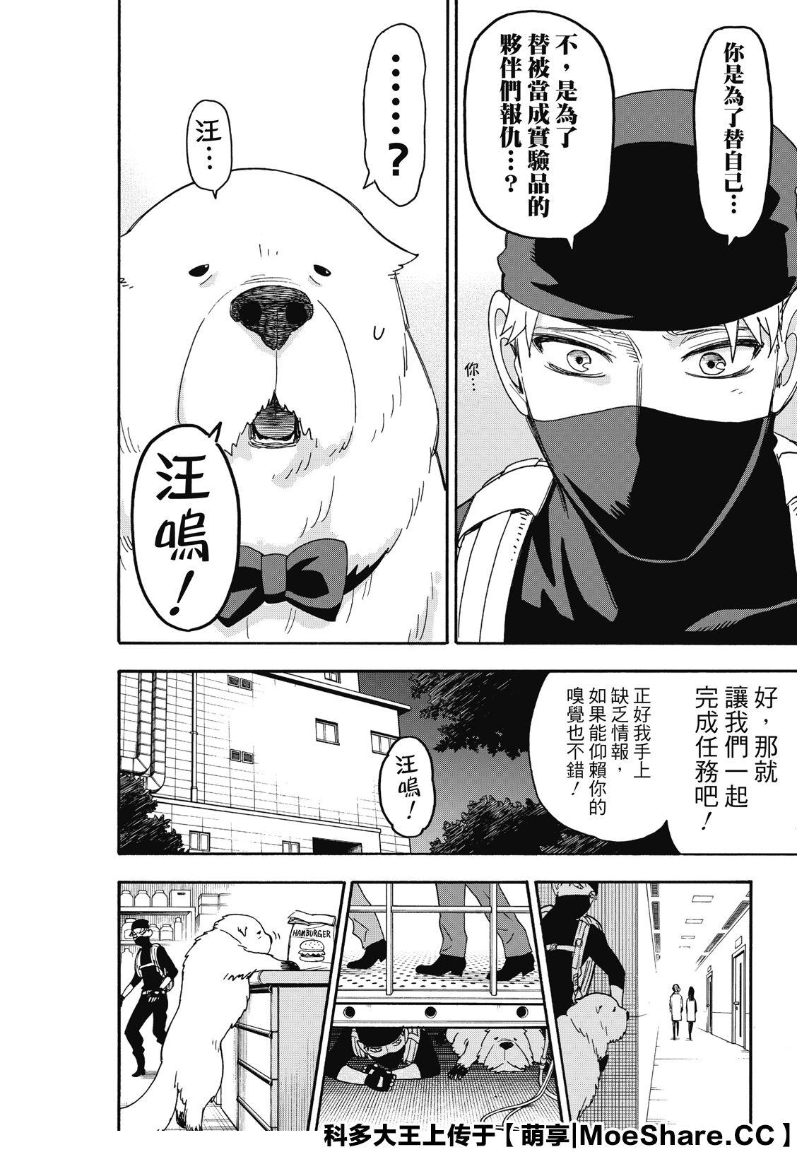 《间谍过家家》漫画最新章节第40话免费下拉式在线观看章节第【18】张图片