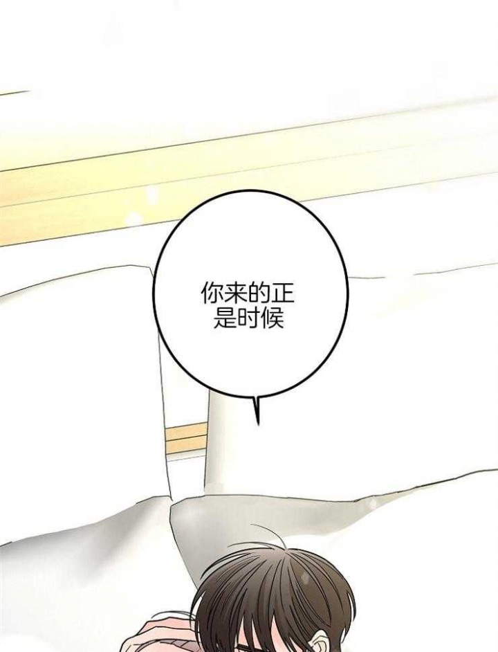 《炒过的豆子会发芽吗(第二季)》漫画最新章节第28话免费下拉式在线观看章节第【13】张图片