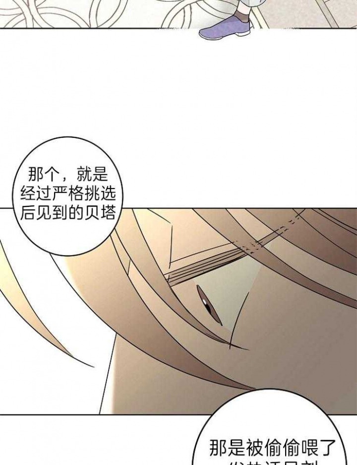 《炒过的豆子会发芽吗(第二季)》漫画最新章节第48话免费下拉式在线观看章节第【26】张图片