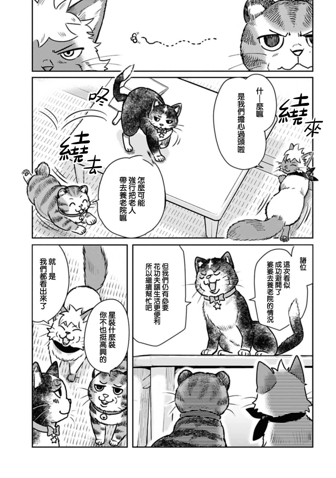 《猫的戒律》漫画最新章节第3话免费下拉式在线观看章节第【5】张图片
