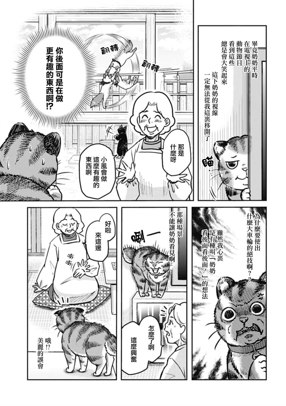 《猫的戒律》漫画最新章节第2话免费下拉式在线观看章节第【10】张图片