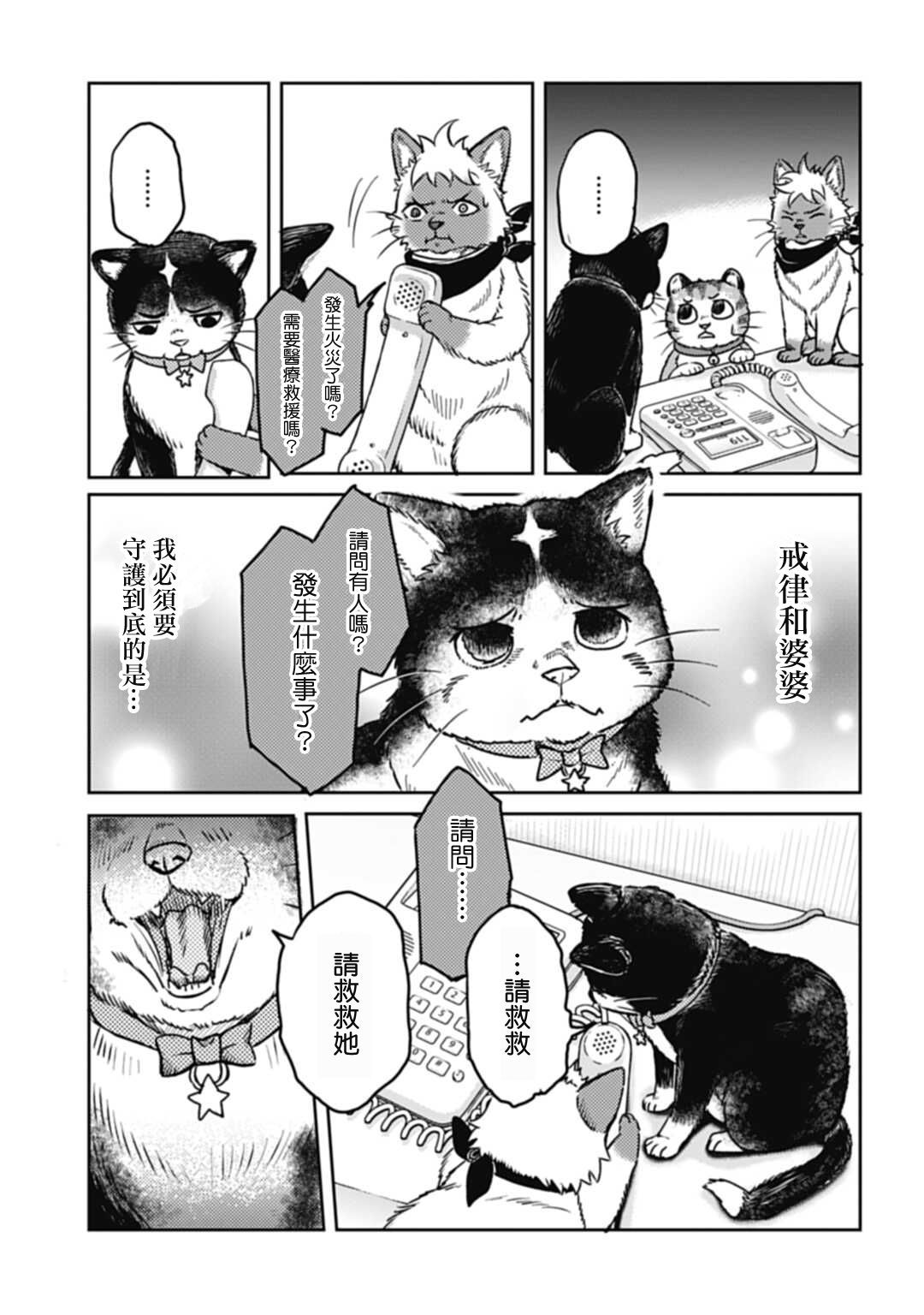 《猫的戒律》漫画最新章节第1话免费下拉式在线观看章节第【24】张图片