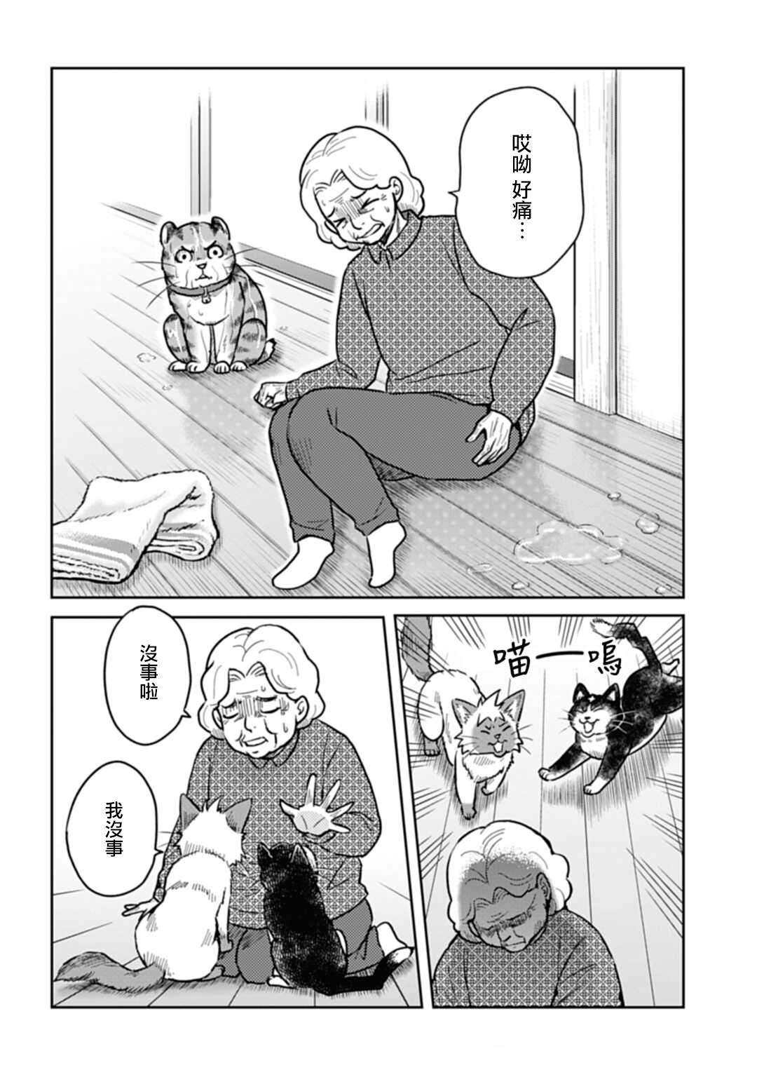 《猫的戒律》漫画最新章节第3话免费下拉式在线观看章节第【16】张图片