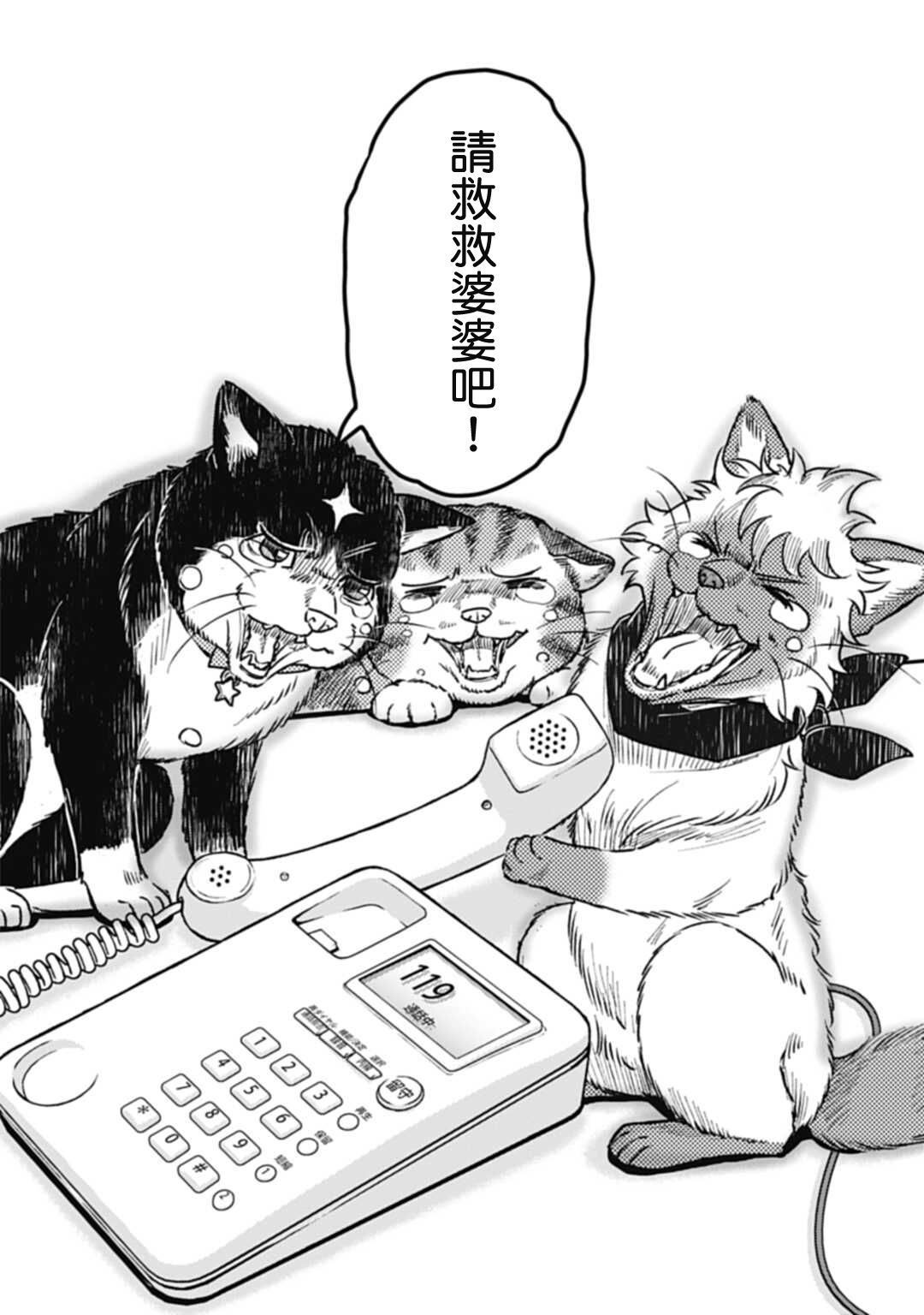 《猫的戒律》漫画最新章节第1话免费下拉式在线观看章节第【25】张图片