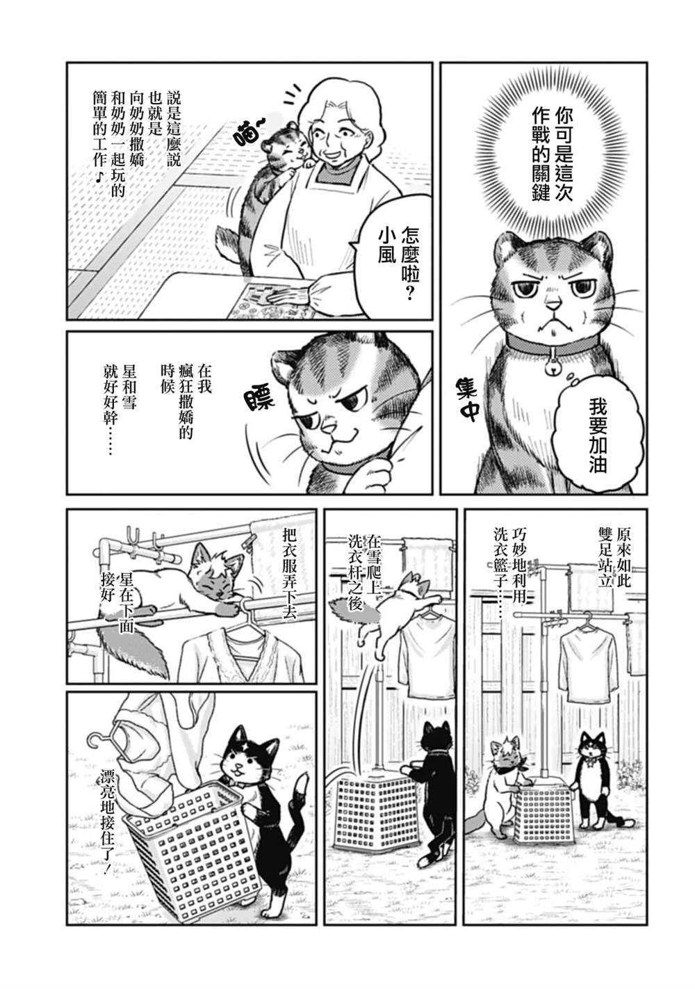 《猫的戒律》漫画最新章节第2话免费下拉式在线观看章节第【8】张图片