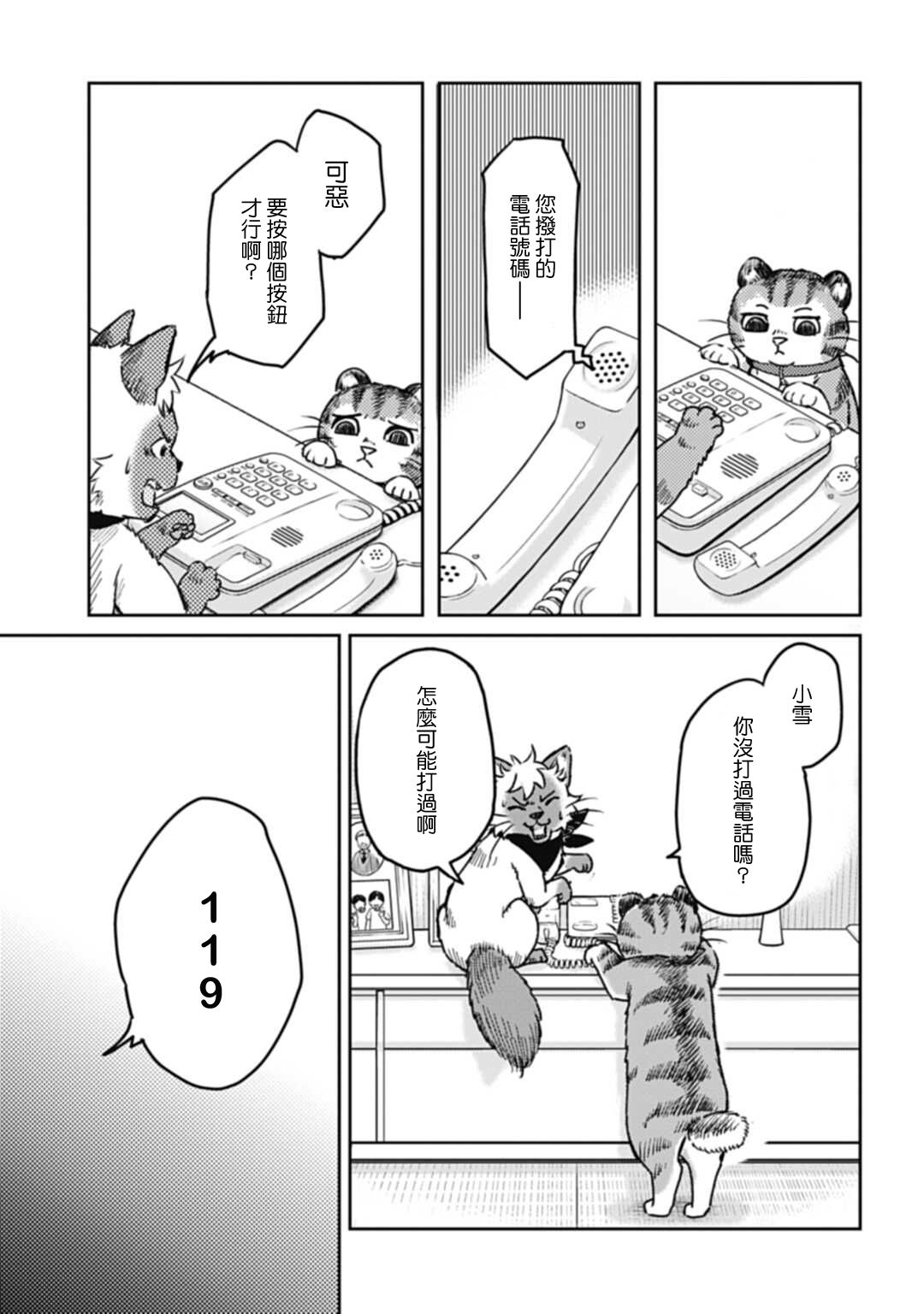 《猫的戒律》漫画最新章节第1话免费下拉式在线观看章节第【22】张图片