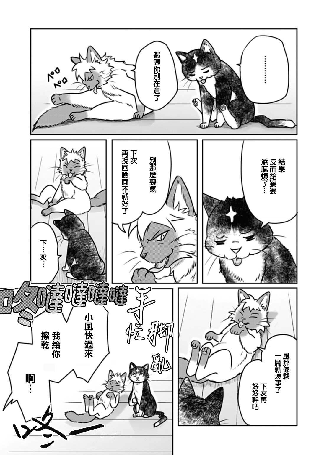 《猫的戒律》漫画最新章节第3话免费下拉式在线观看章节第【15】张图片