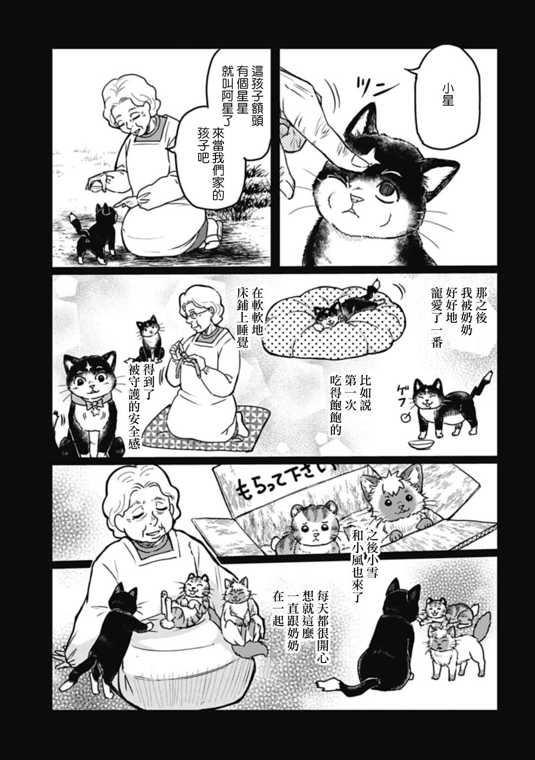 《猫的戒律》漫画最新章节第1话免费下拉式在线观看章节第【20】张图片