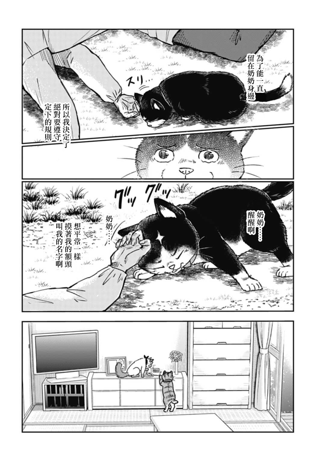 《猫的戒律》漫画最新章节第1话免费下拉式在线观看章节第【21】张图片