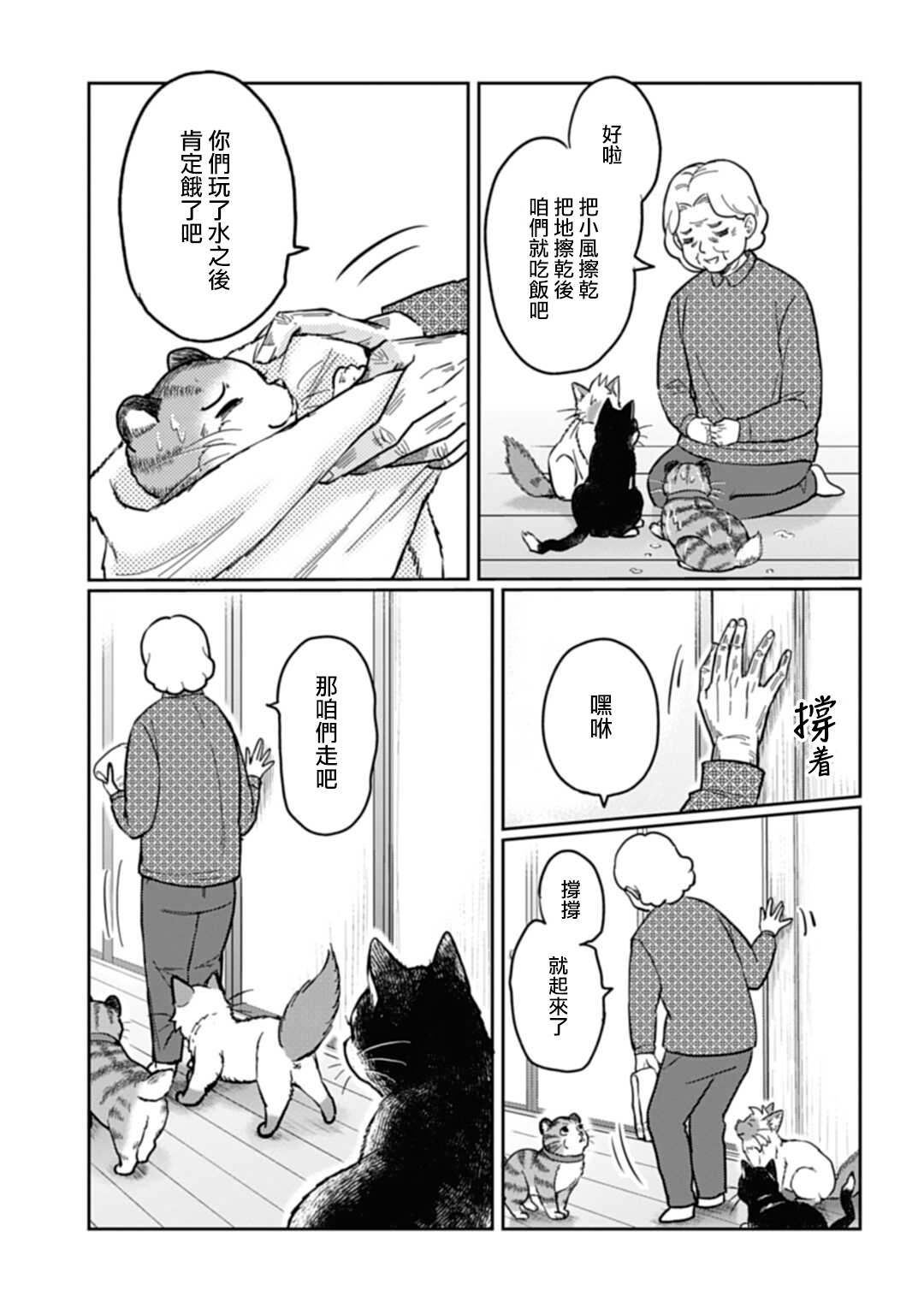 《猫的戒律》漫画最新章节第3话免费下拉式在线观看章节第【19】张图片