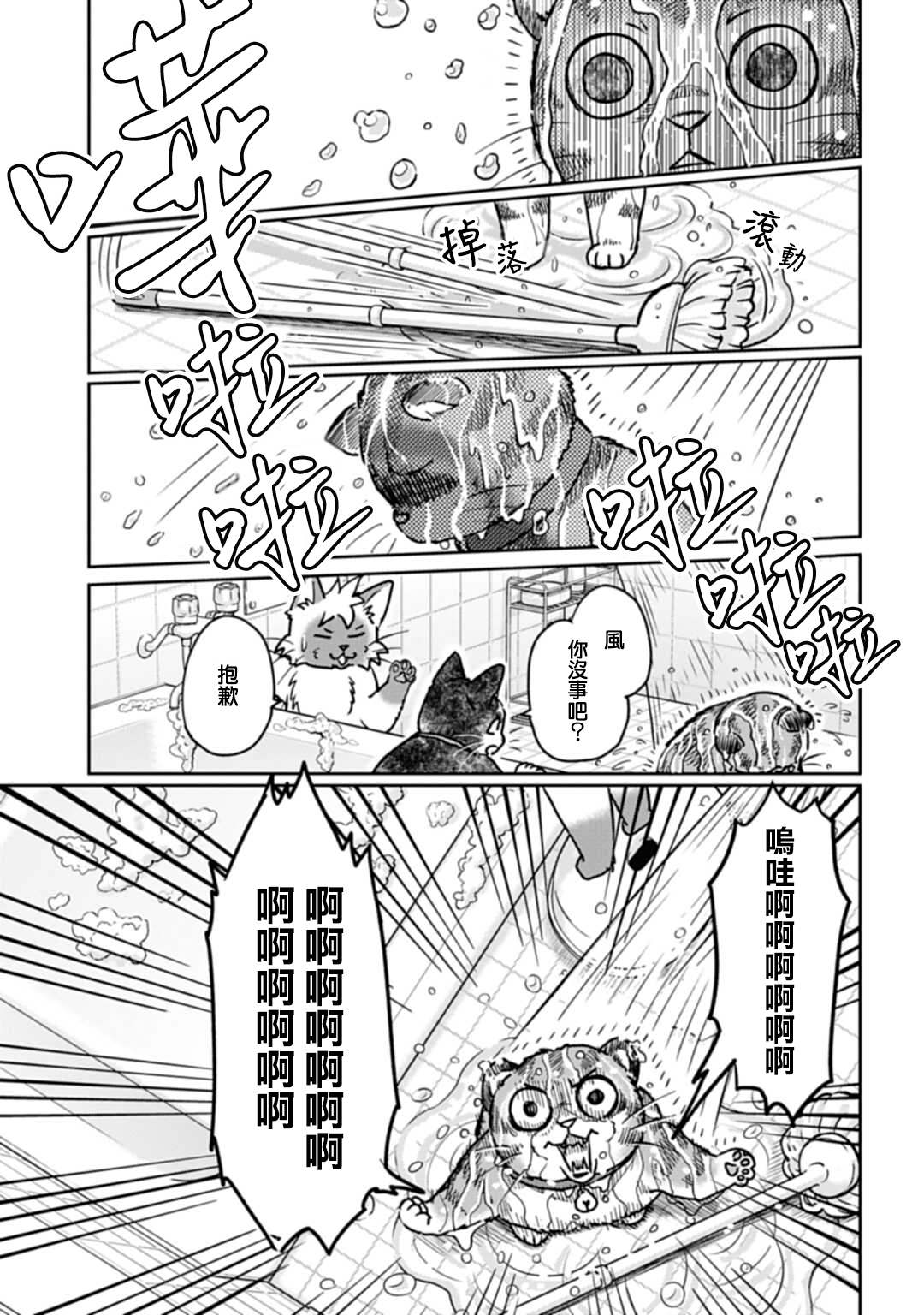 《猫的戒律》漫画最新章节第3话免费下拉式在线观看章节第【11】张图片
