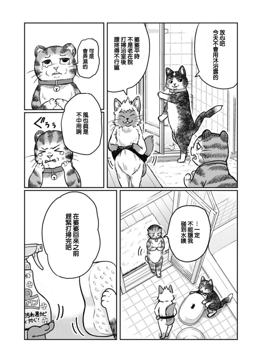 《猫的戒律》漫画最新章节第3话免费下拉式在线观看章节第【7】张图片