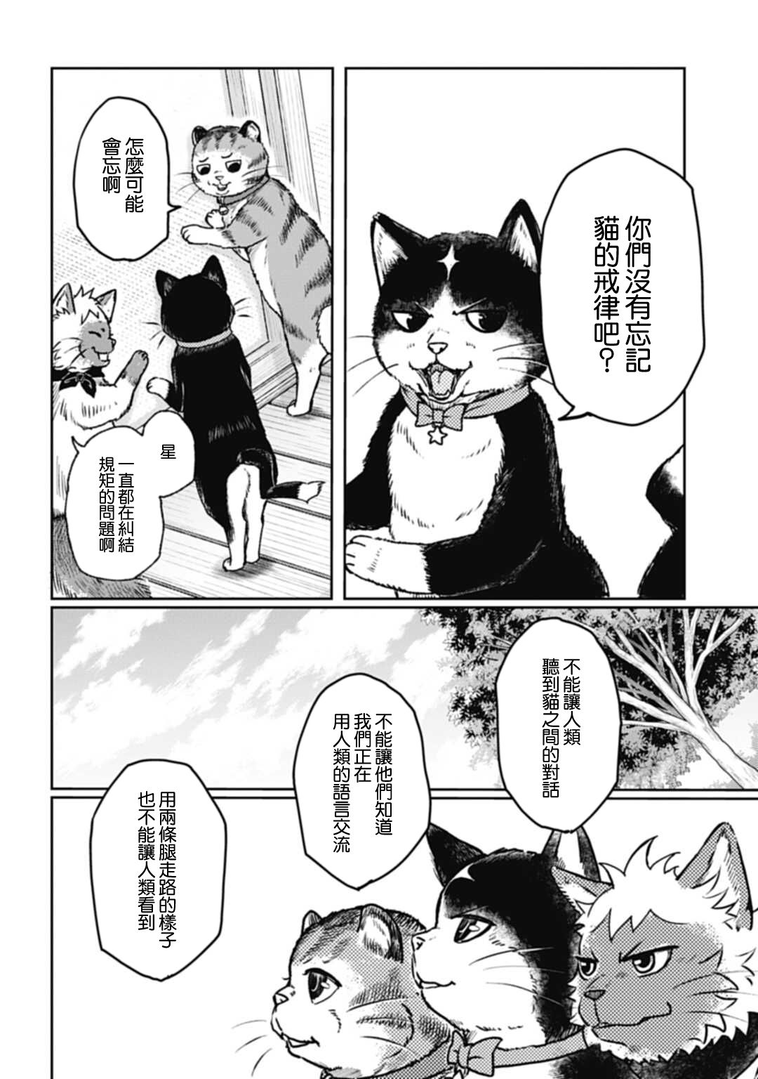 《猫的戒律》漫画最新章节第1话免费下拉式在线观看章节第【7】张图片