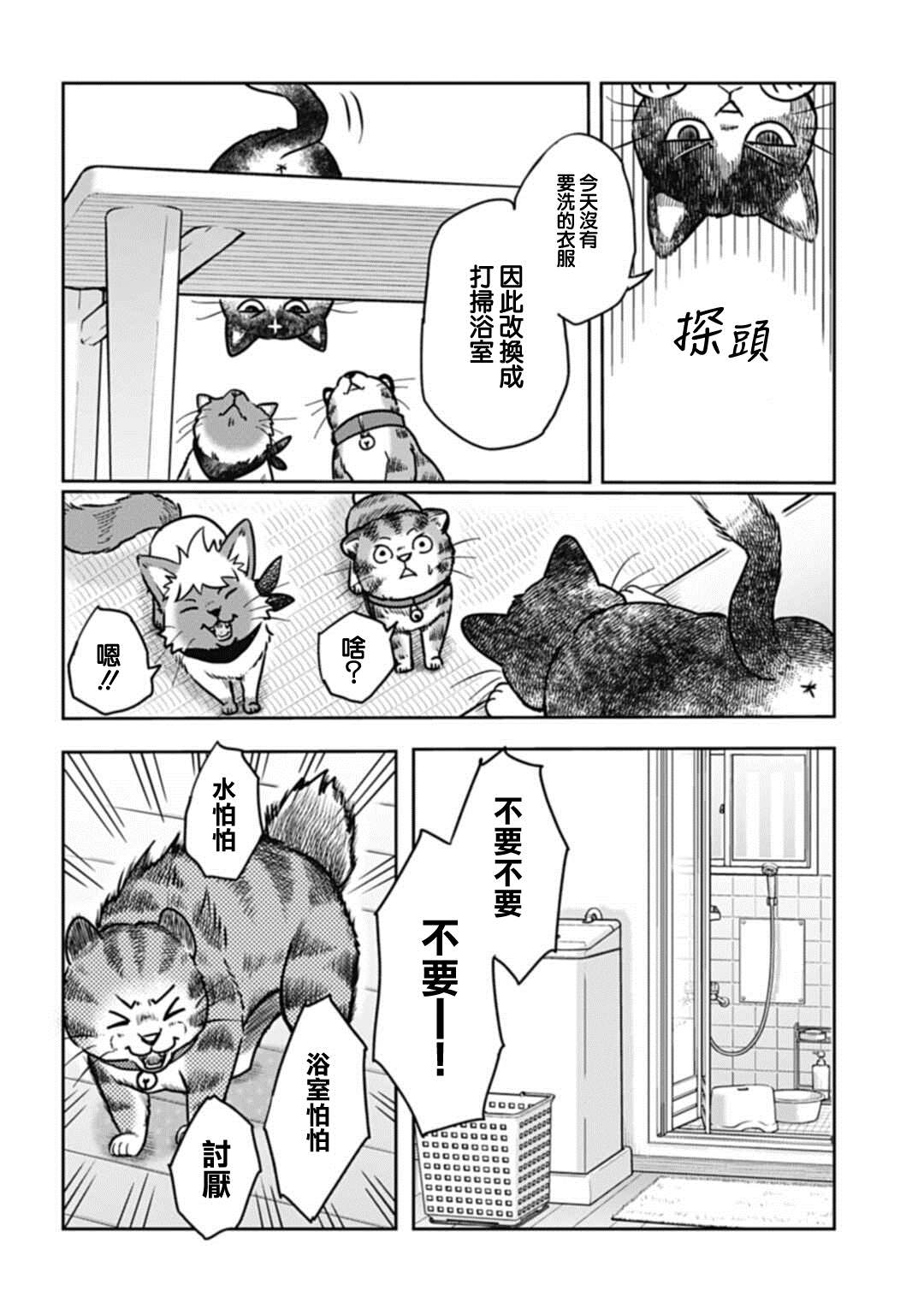 《猫的戒律》漫画最新章节第3话免费下拉式在线观看章节第【6】张图片
