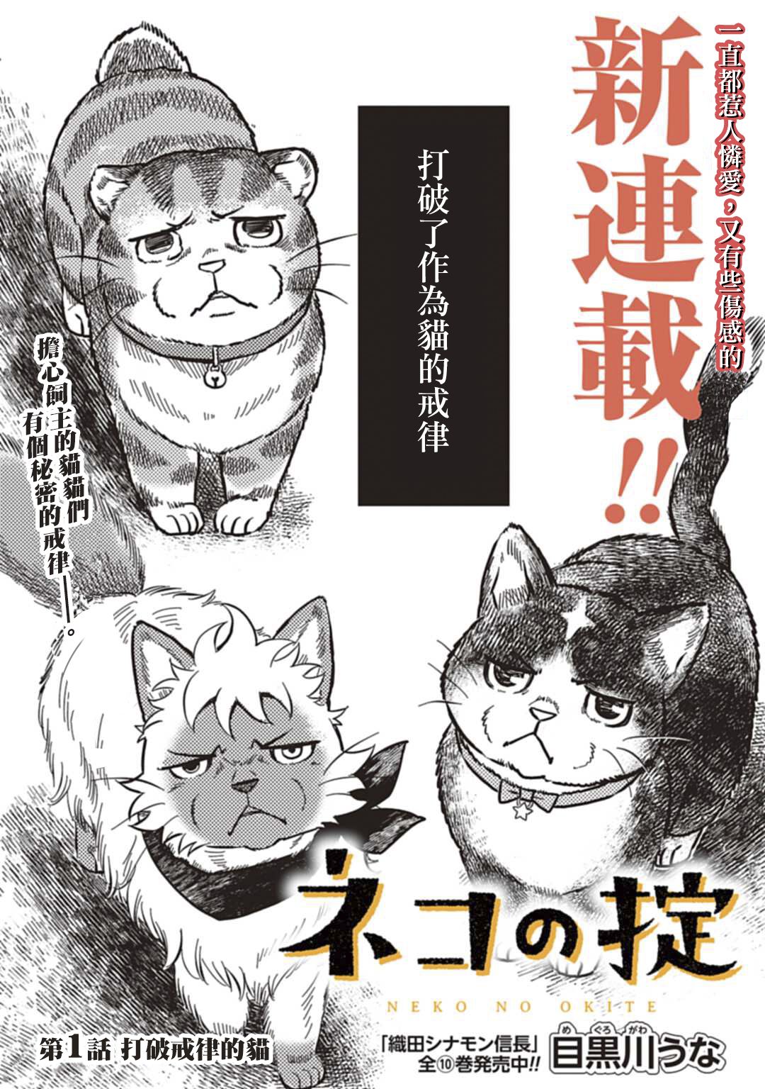 《猫的戒律》漫画最新章节第1话免费下拉式在线观看章节第【4】张图片