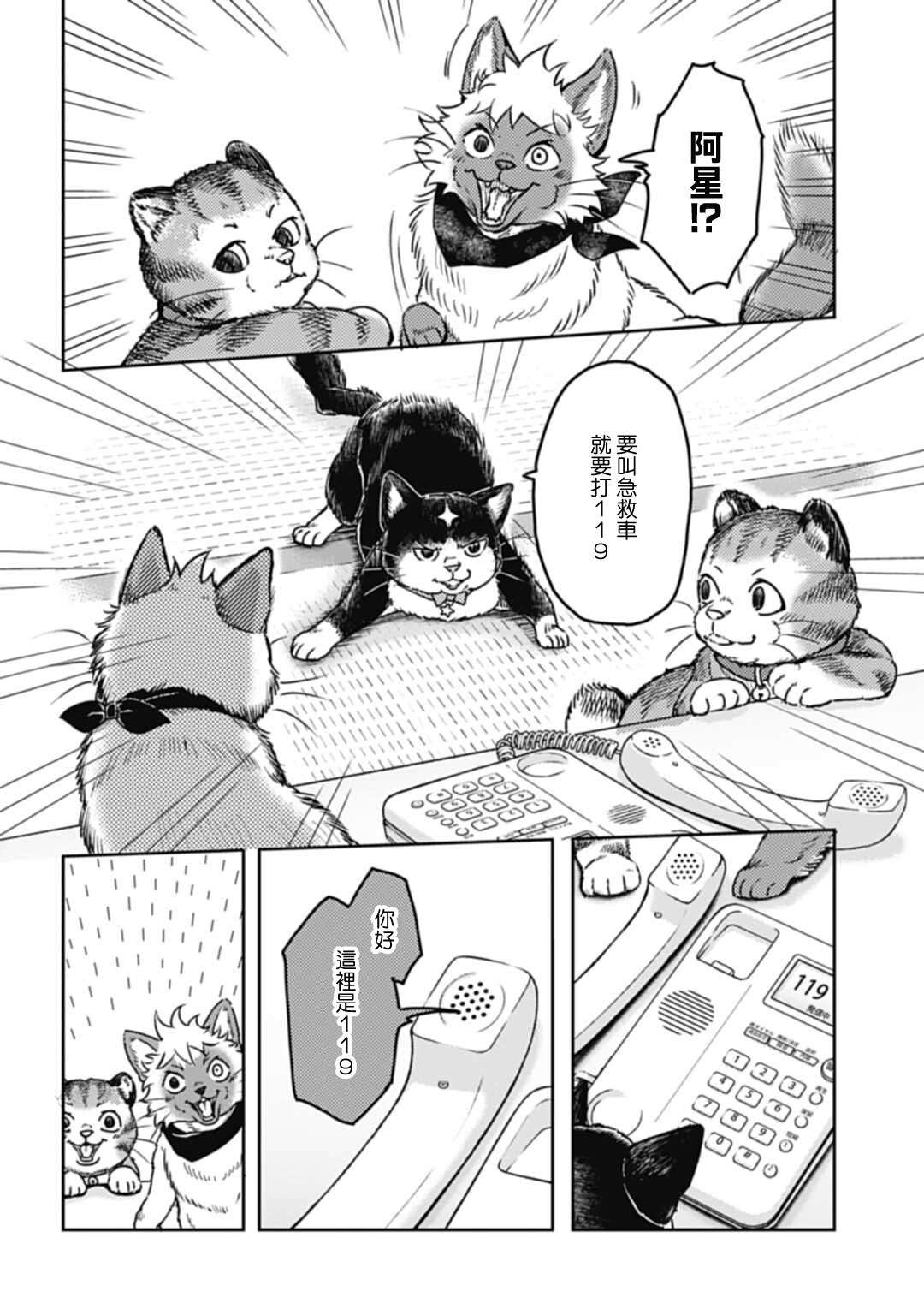 《猫的戒律》漫画最新章节第1话免费下拉式在线观看章节第【23】张图片