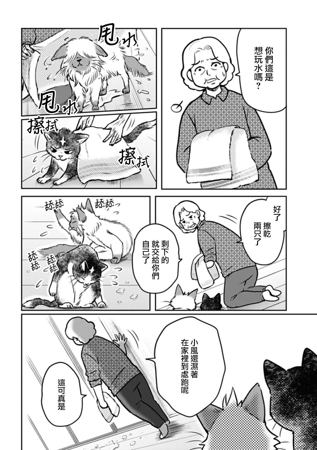 《猫的戒律》漫画最新章节第3话免费下拉式在线观看章节第【14】张图片