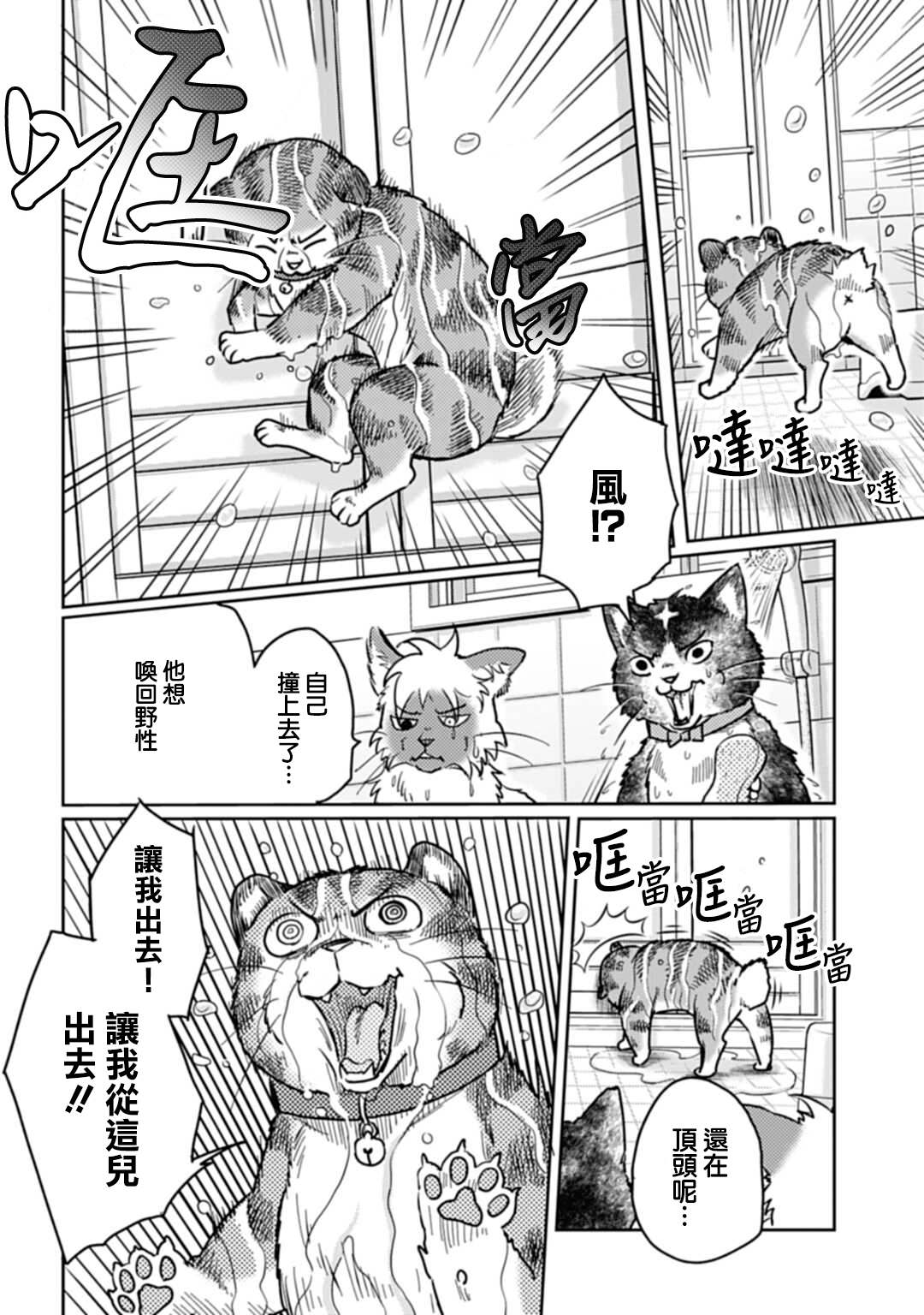 《猫的戒律》漫画最新章节第3话免费下拉式在线观看章节第【12】张图片