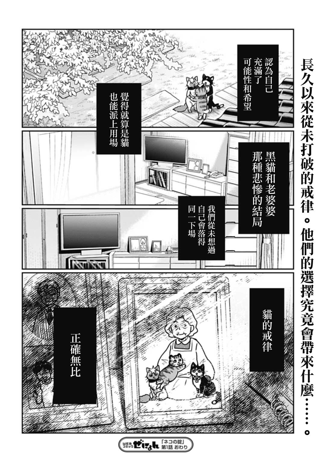 《猫的戒律》漫画最新章节第1话免费下拉式在线观看章节第【31】张图片