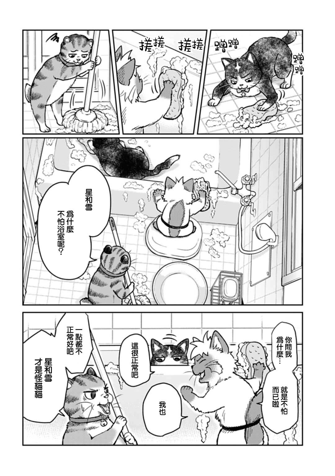 《猫的戒律》漫画最新章节第3话免费下拉式在线观看章节第【8】张图片