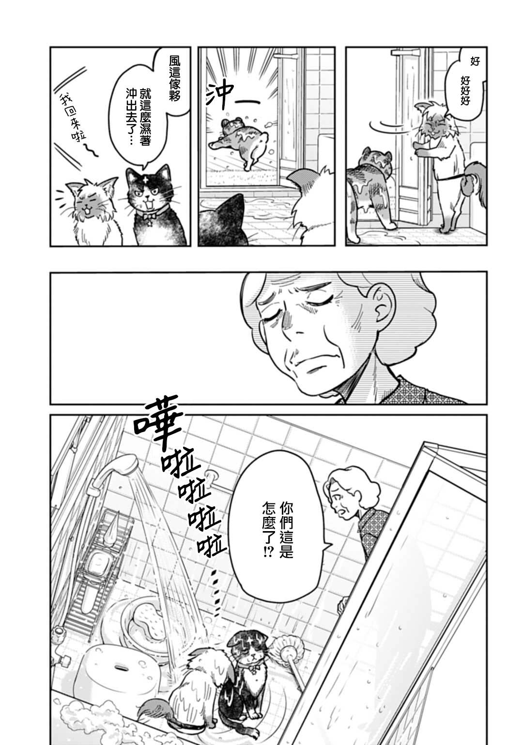 《猫的戒律》漫画最新章节第3话免费下拉式在线观看章节第【13】张图片