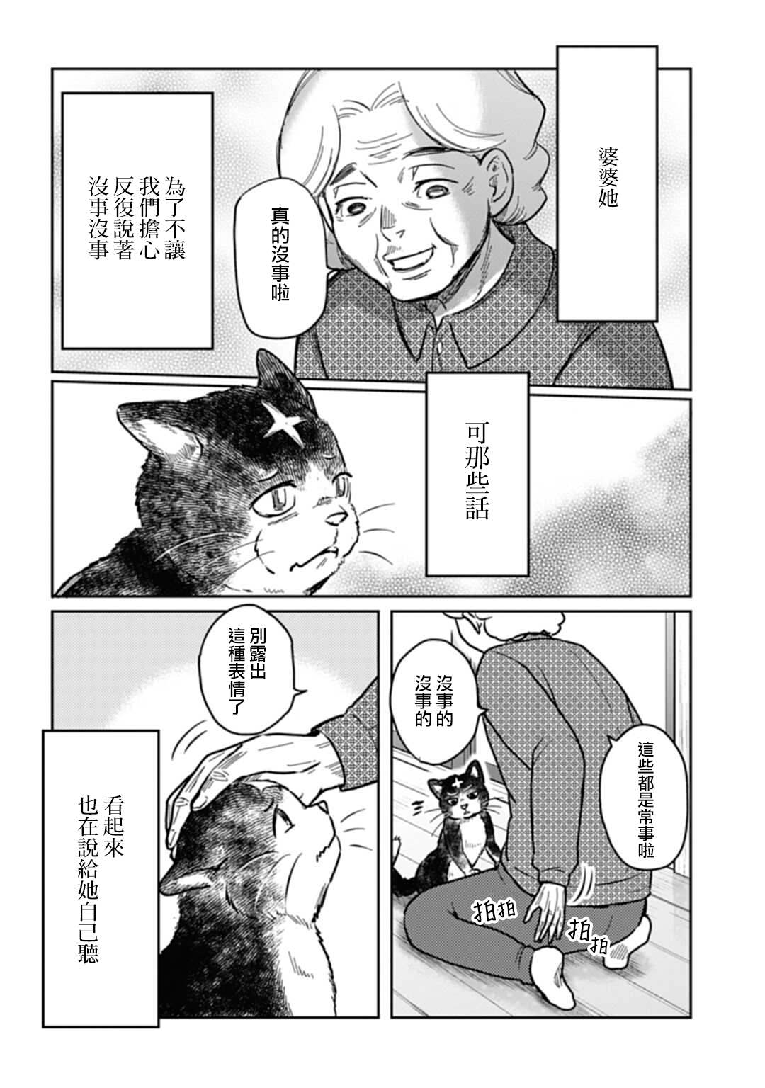 《猫的戒律》漫画最新章节第3话免费下拉式在线观看章节第【18】张图片
