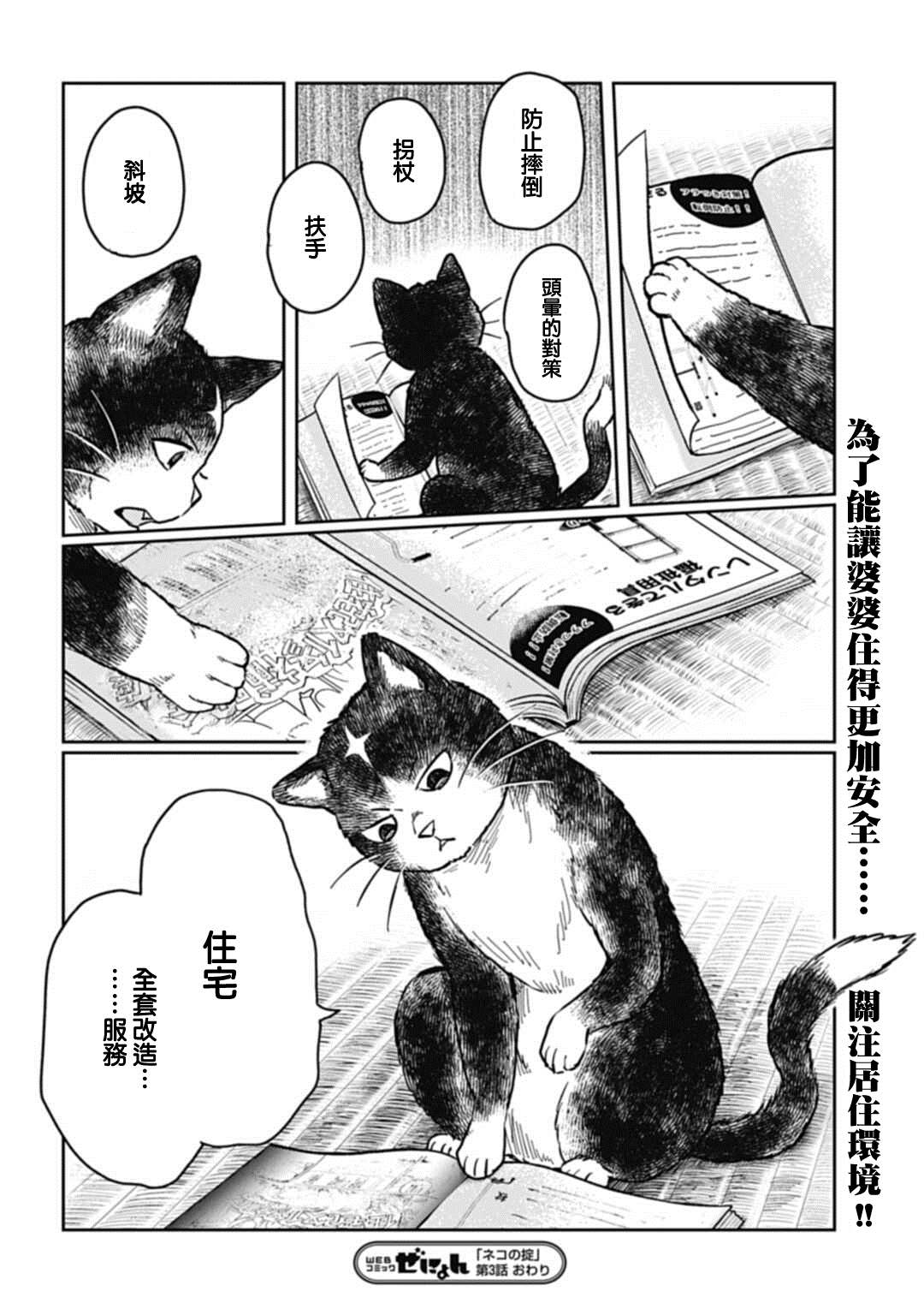 《猫的戒律》漫画最新章节第3话免费下拉式在线观看章节第【22】张图片