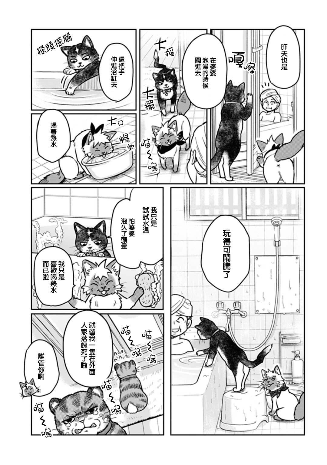 《猫的戒律》漫画最新章节第3话免费下拉式在线观看章节第【9】张图片
