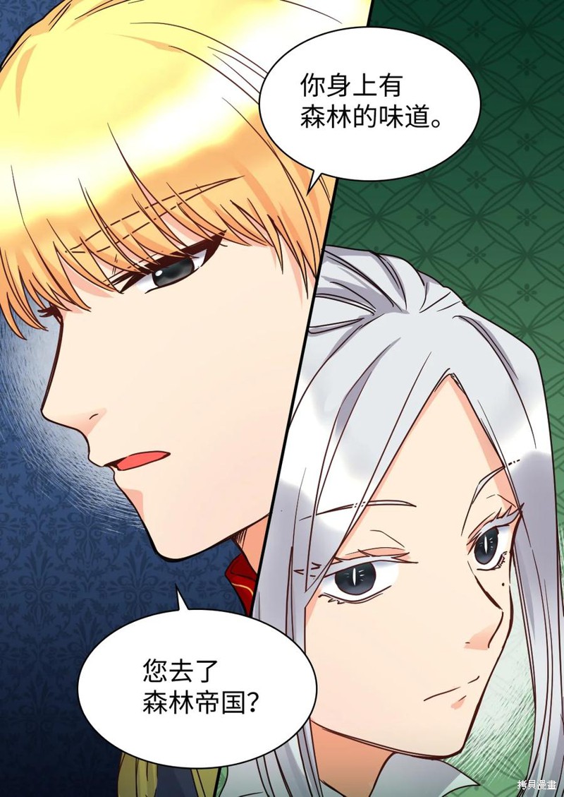 《双胞胎兄妹的父皇是宠娃狂魔》漫画最新章节第79话免费下拉式在线观看章节第【31】张图片