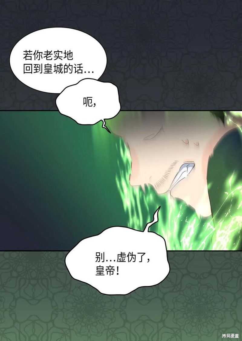 《双胞胎兄妹的父皇是宠娃狂魔》漫画最新章节第52话免费下拉式在线观看章节第【5】张图片