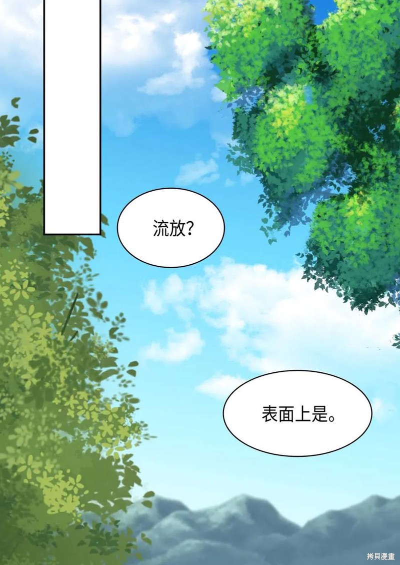 《双胞胎兄妹的父皇是宠娃狂魔》漫画最新章节第58话免费下拉式在线观看章节第【20】张图片