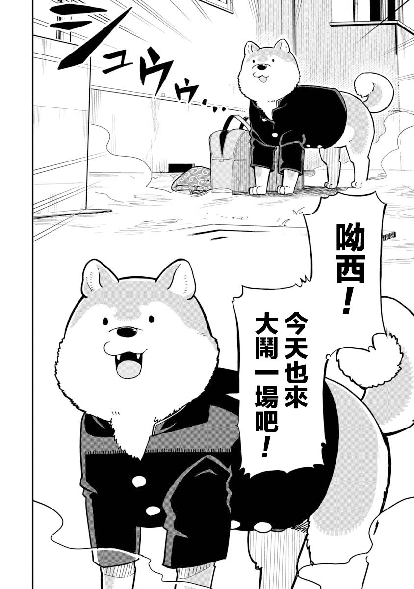 《狼仔君敌不过早川同学》漫画最新章节第1话免费下拉式在线观看章节第【5】张图片