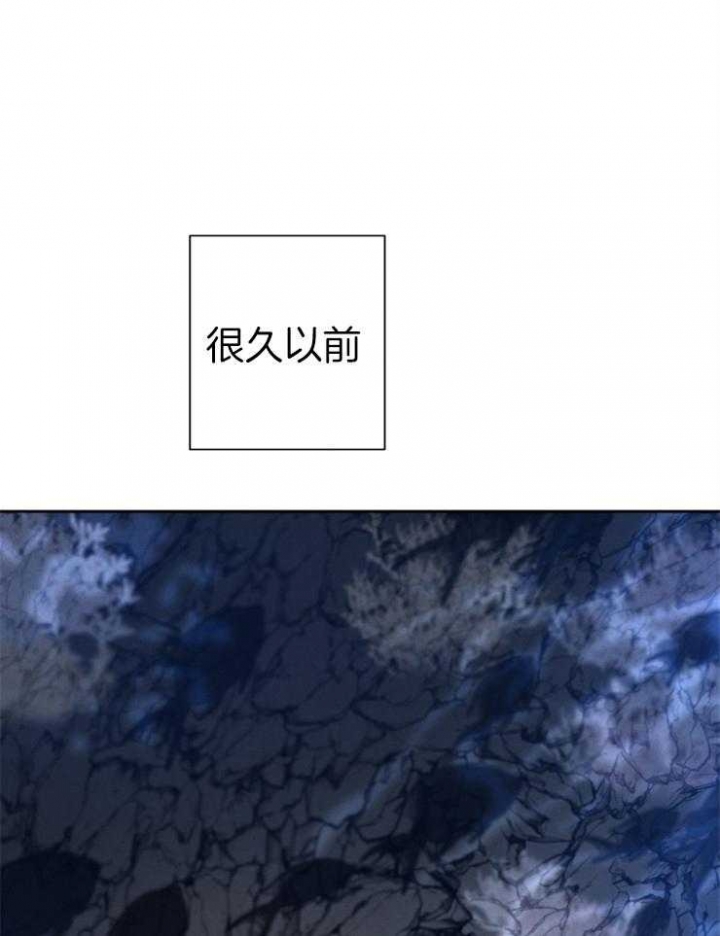 《珊瑚食者》漫画最新章节第37话免费下拉式在线观看章节第【1】张图片