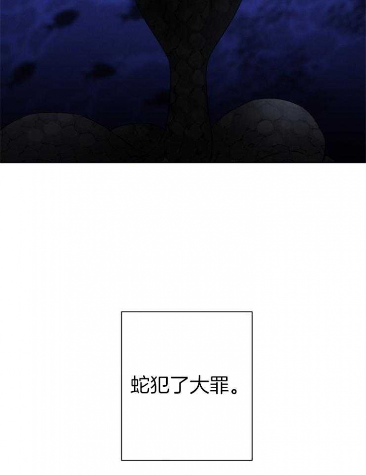 《珊瑚食者》漫画最新章节第37话免费下拉式在线观看章节第【7】张图片