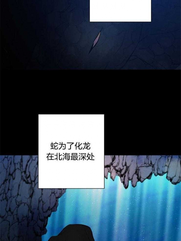 《珊瑚食者》漫画最新章节第54话免费下拉式在线观看章节第【5】张图片