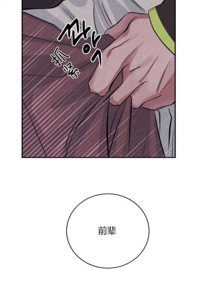 《珊瑚食者》漫画最新章节第49话免费下拉式在线观看章节第【19】张图片