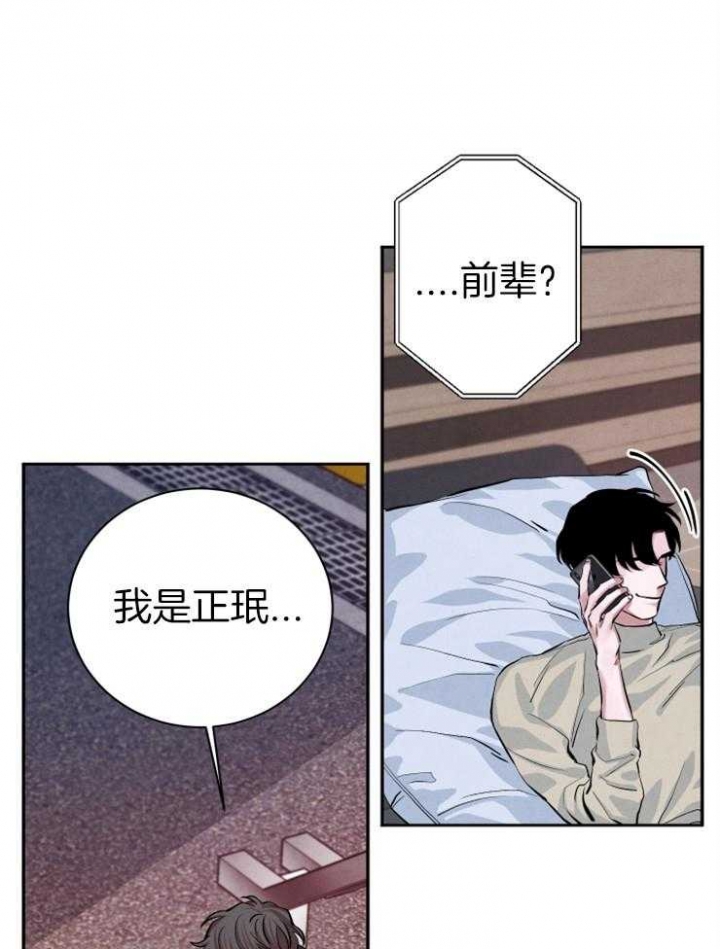 《珊瑚食者》漫画最新章节第31话免费下拉式在线观看章节第【18】张图片