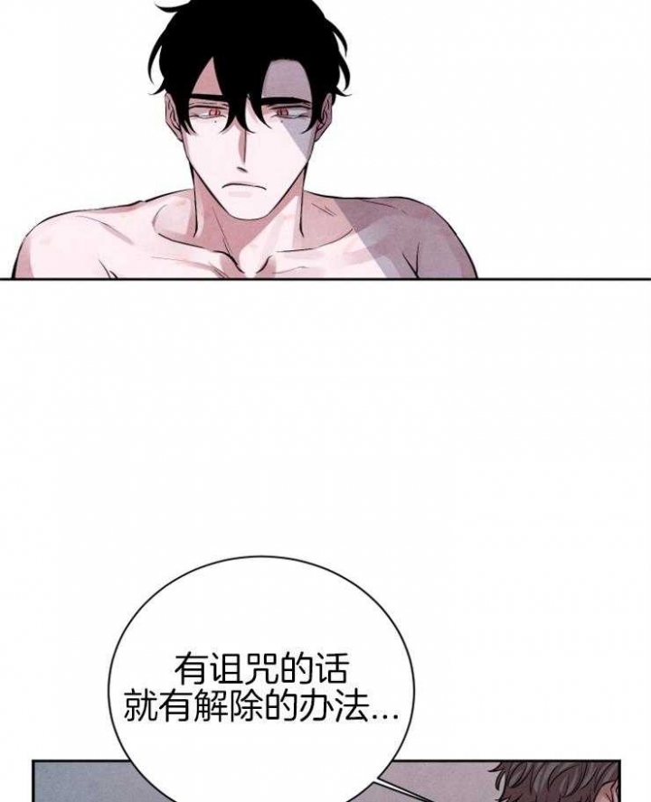 《珊瑚食者》漫画最新章节第36话免费下拉式在线观看章节第【31】张图片