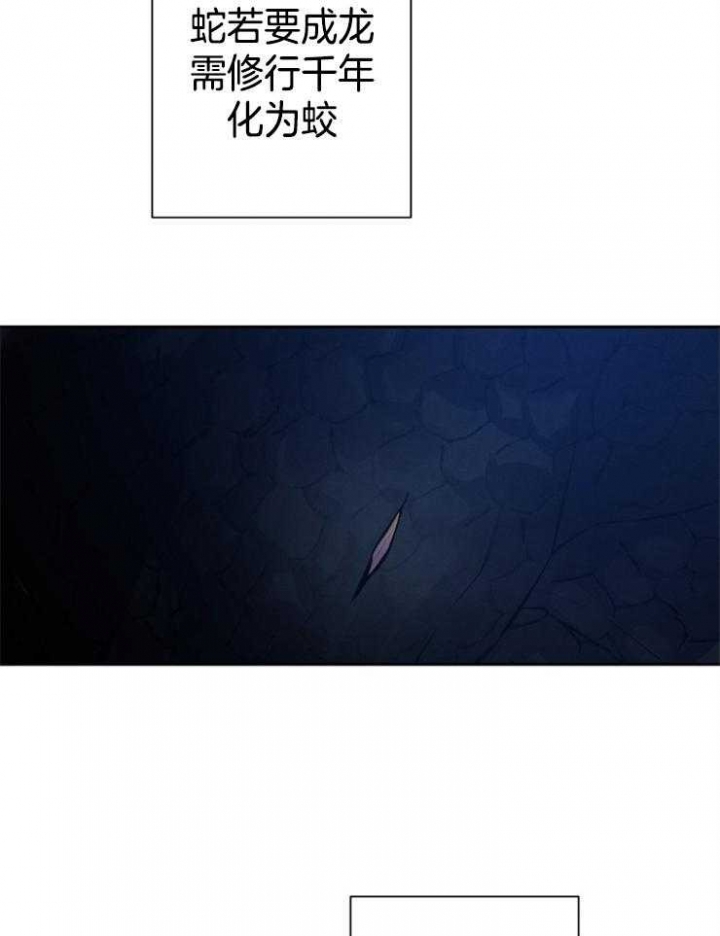 《珊瑚食者》漫画最新章节第37话免费下拉式在线观看章节第【3】张图片