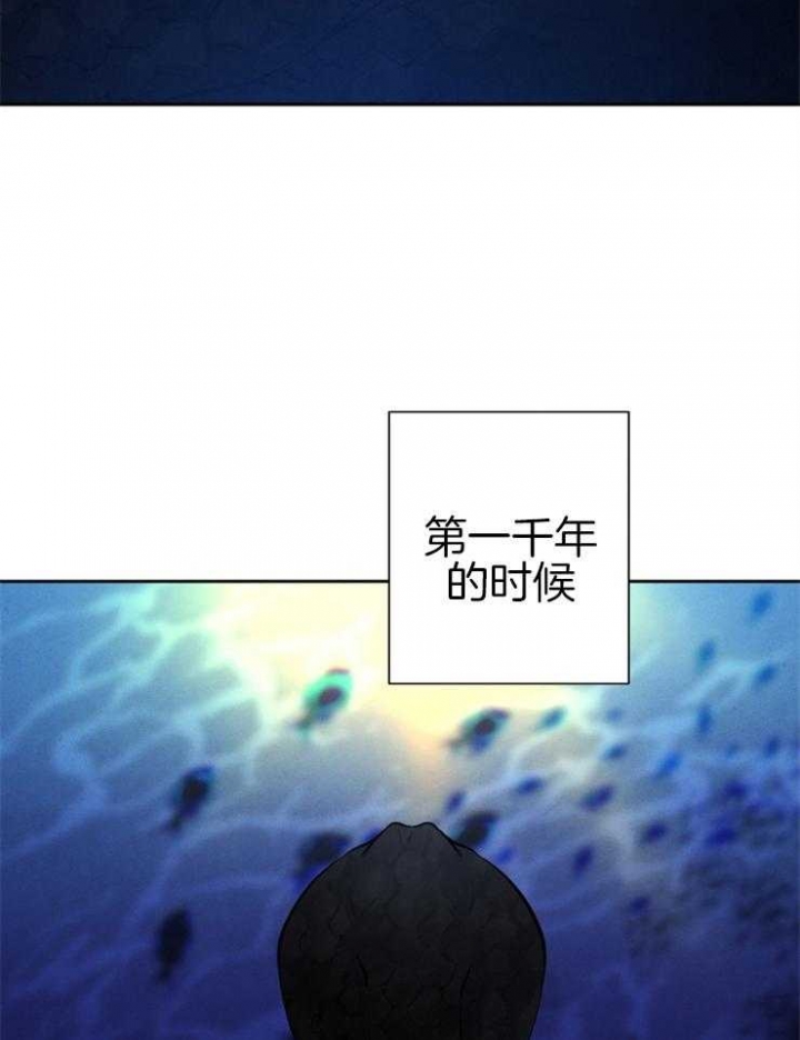 《珊瑚食者》漫画最新章节第37话免费下拉式在线观看章节第【6】张图片