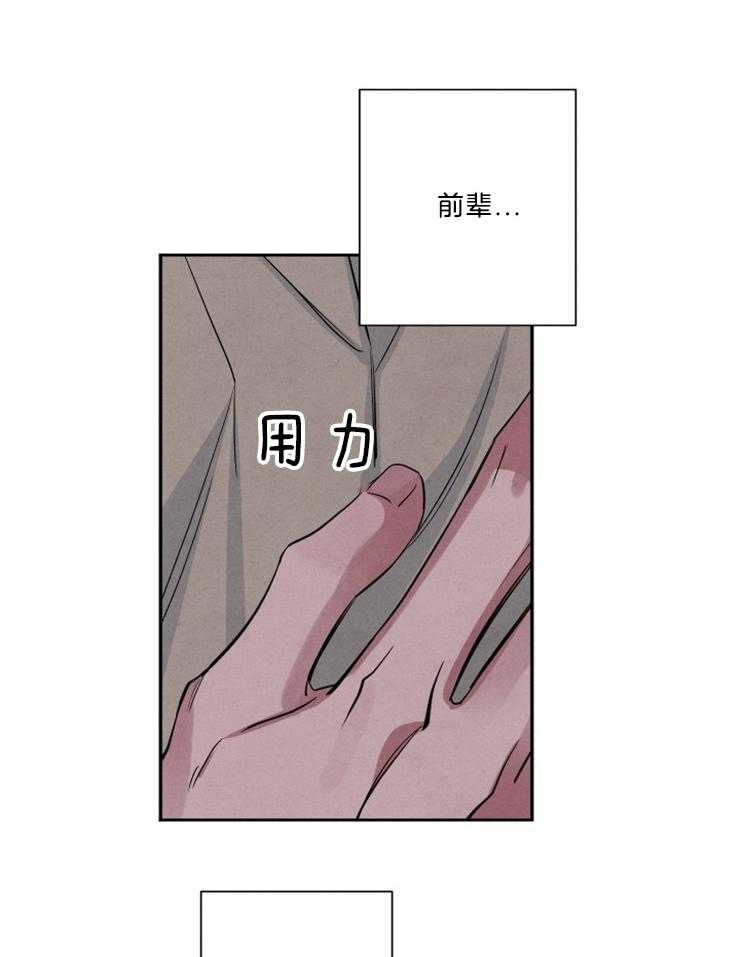 《珊瑚食者》漫画最新章节第71话免费下拉式在线观看章节第【20】张图片